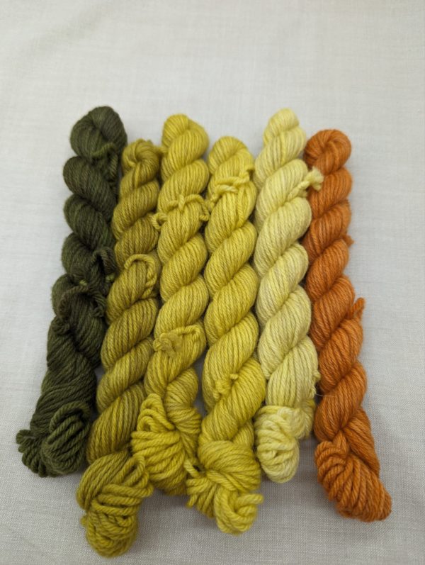 Peruvian Highland DK: Ruska/Autumnal colours - Image 4