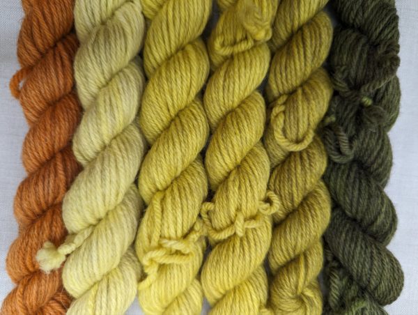 Peruvian Highland DK: Ruska/Autumnal colours - Image 3