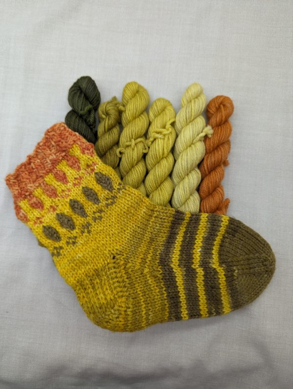 Peruvian Highland DK: Ruska/Autumnal colours - Image 5