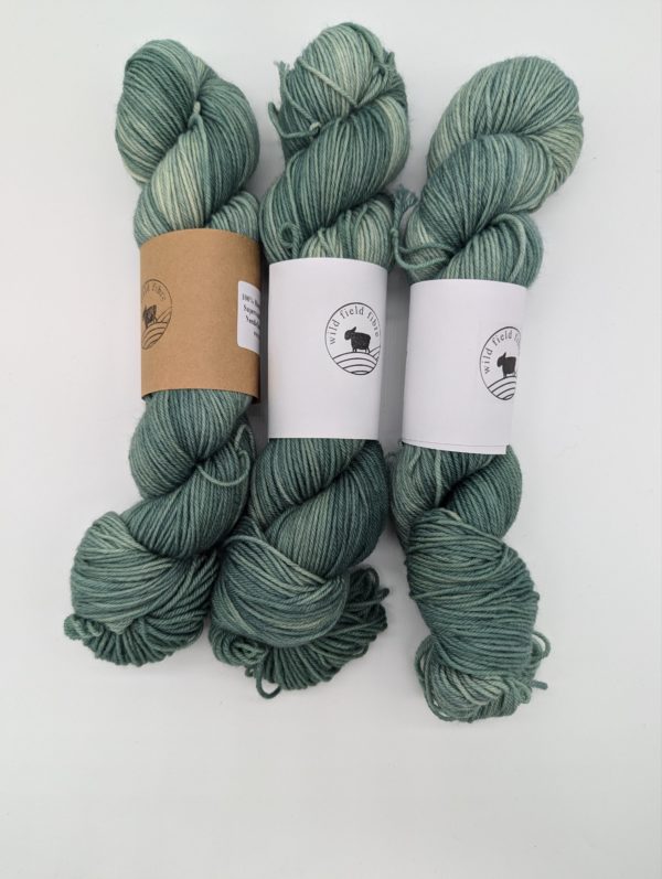 Blue-faced Leicester DK: Spearmint