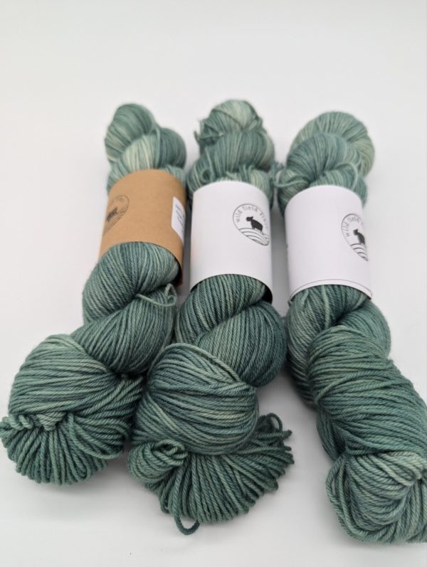 Blue-faced Leicester DK: Spearmint - Image 2