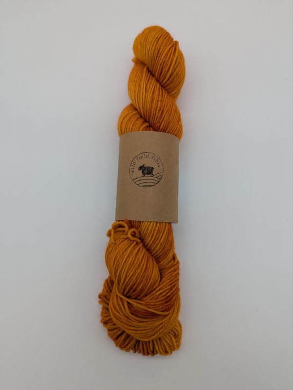 Blue-faced Leicester DK: Orange